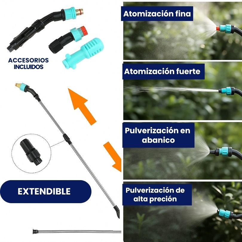 Encabezado