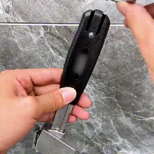 Encabezado